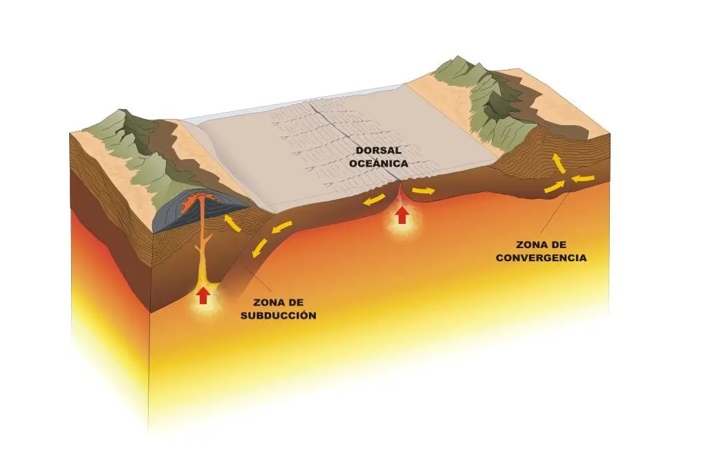 En la parte superior del manto se encuentran las placas tectónicas y en la inferior el magma