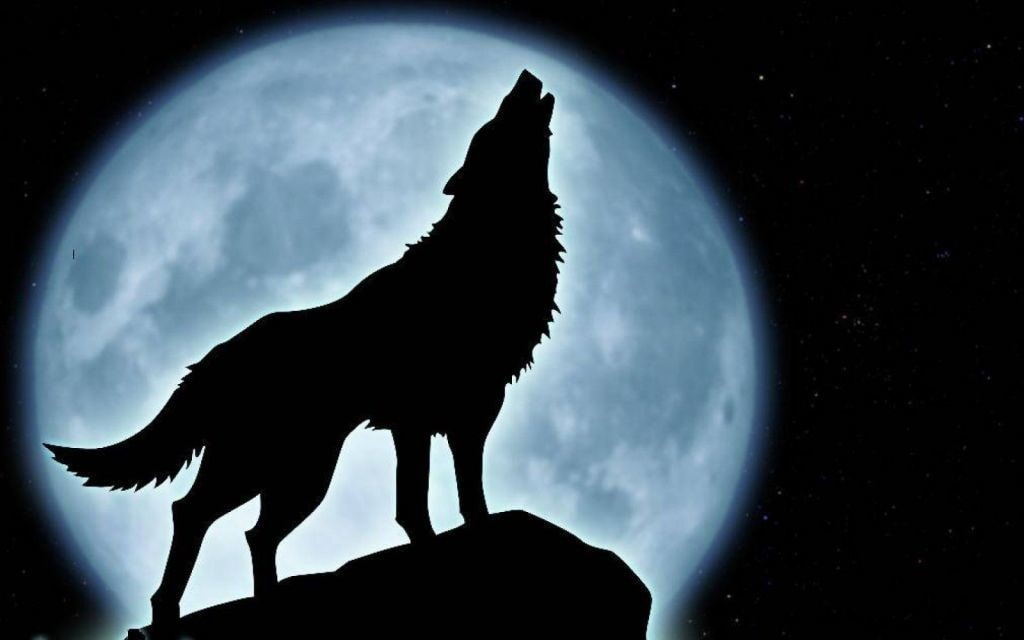 La leyenda del hombre lobo nace hace muchos años para explicar ritos sangrientos