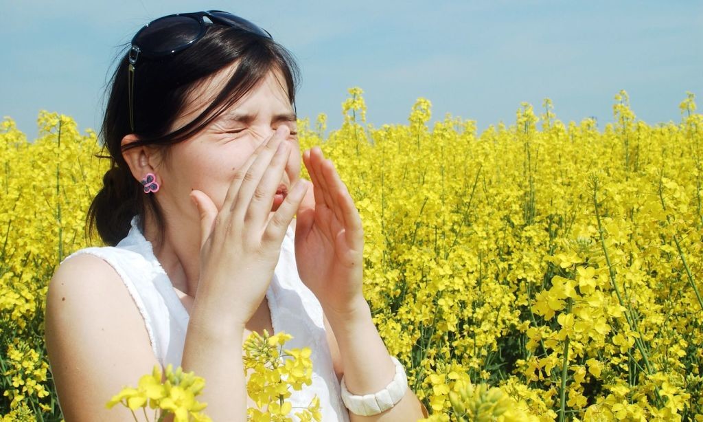 Al llegar la primavera comienzan las alergias al polen por lo que hay que cuidarse y tomar precauciones