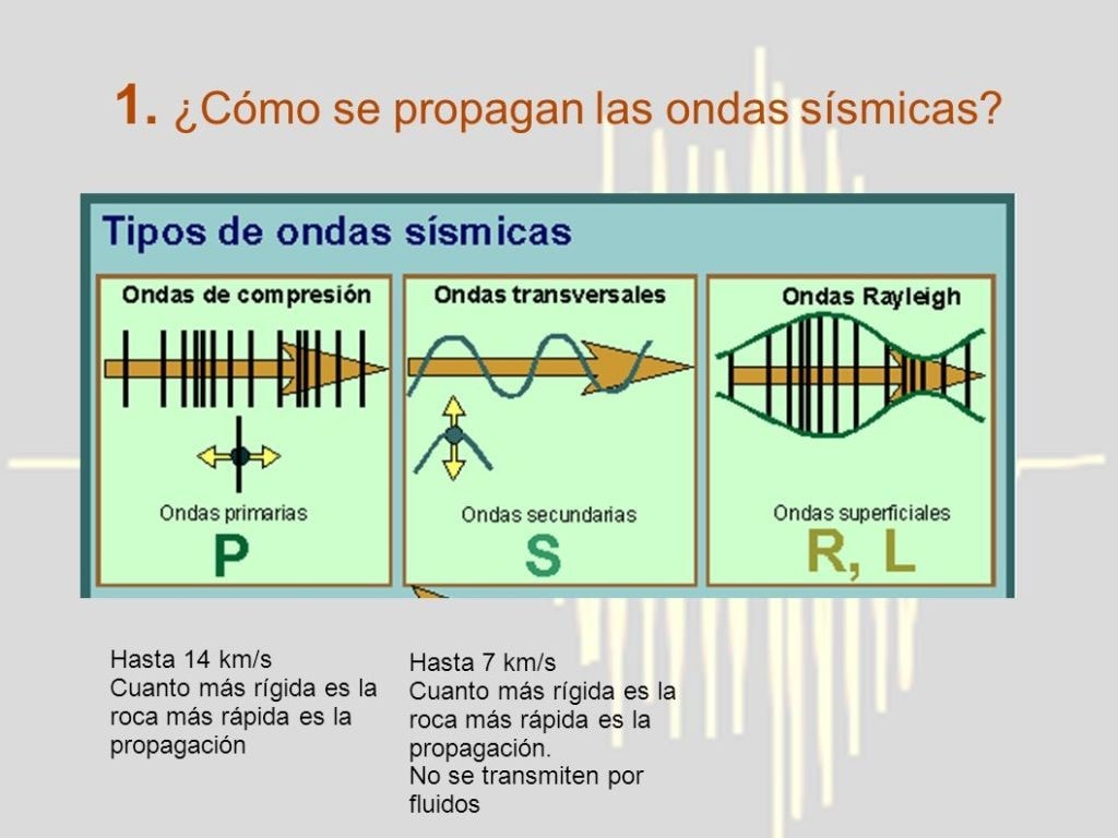Cada una de las ondas sismicas tiene una forma diferente de expansion