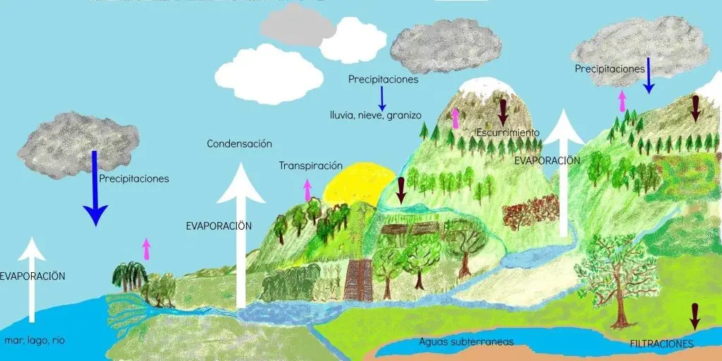 Descripción del ciclo del agua desde su evaporacion, hasta las precipitaciones, pasando por los escurrimientos y filtraciones.