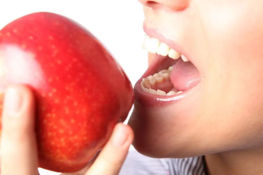 Una de las funciones principales de la boca es la masticación de los alimentos