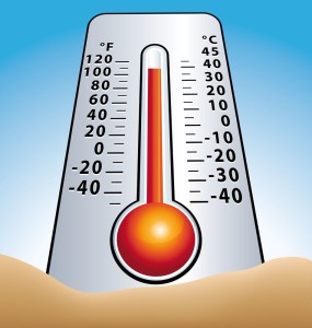 El termometro de bulbo se caracteriza por medir la temperatura medio ambiental