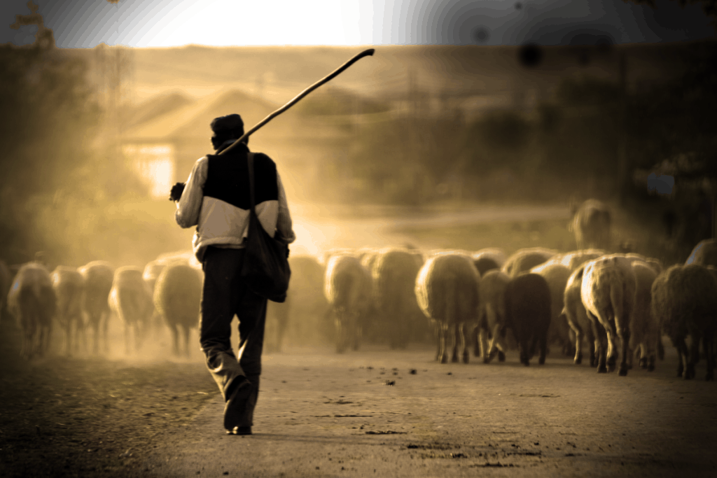 En la sociedad pastoril se cuidaba de grupos de ovejas, vacas, caballos o cualquier animal que pudiera ayudar en la supervivencia
