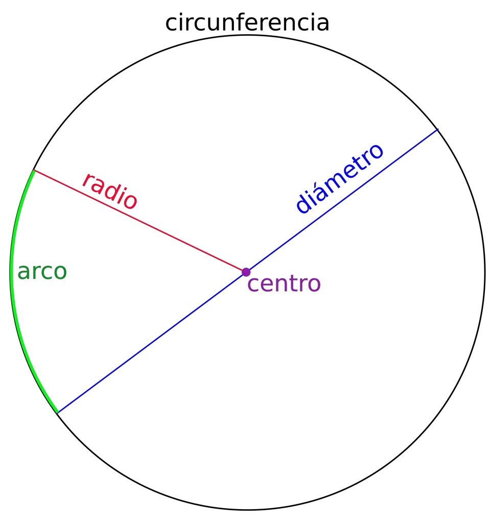 La linea azul que cruza, justo por el medio de la circunferencia, es el diametro y, la mitad de este, es el radio