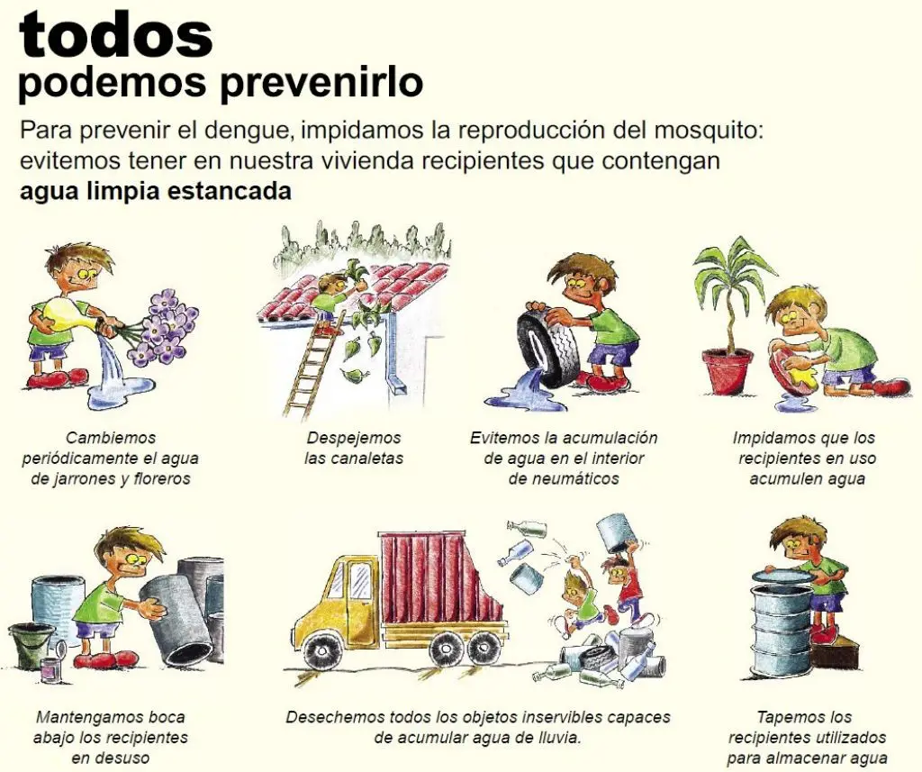 Claves para prevenir la infeccion del mosquito del dengue