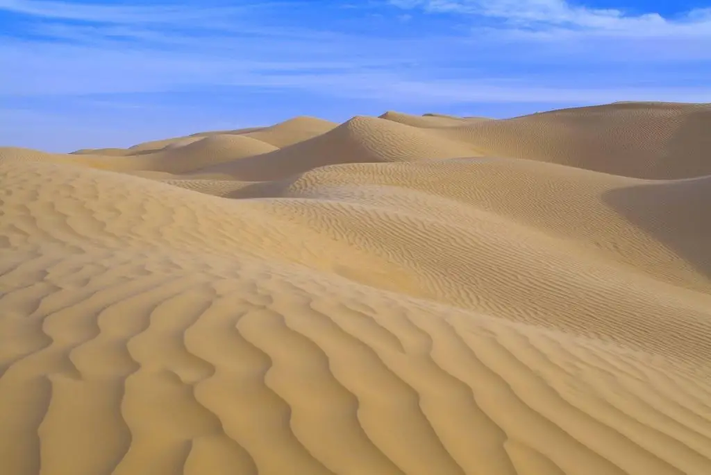 El suelo arenoso es propio de los climas deserticos, donde la posibilidad de vida es mas dificil
