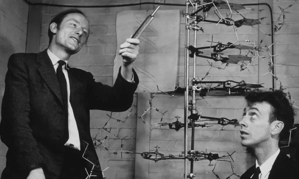 Watson y Crick en abril de 1953 publicaron un articulo descubriendo la estructura del adn y revolucionando el mundo cientifico