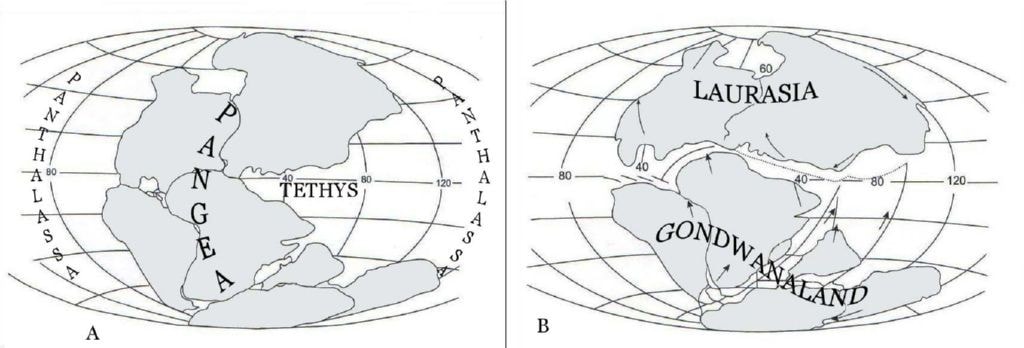 Primera division del supercontinente pangea