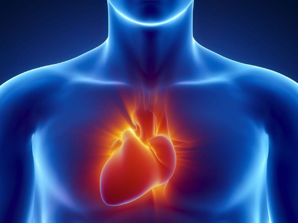 Pueden producirse infartos o problemas de coracon debido a un estres continuo en el tiempo