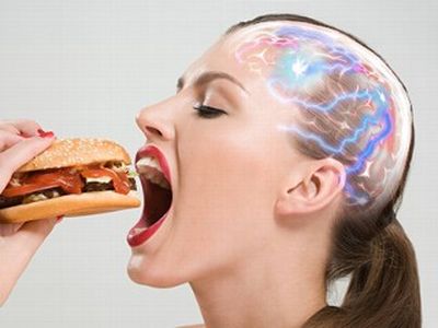 anorexia cerebro