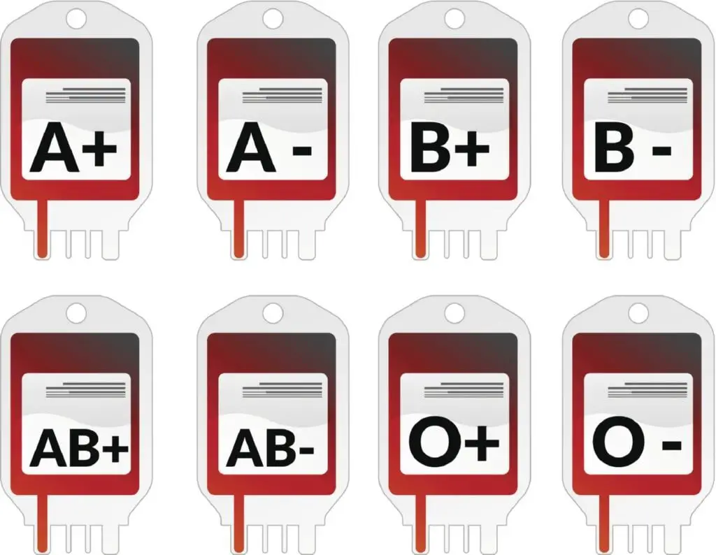 Los ocho tipos diferentes de grupos sanguineos que puede tener la poblacion