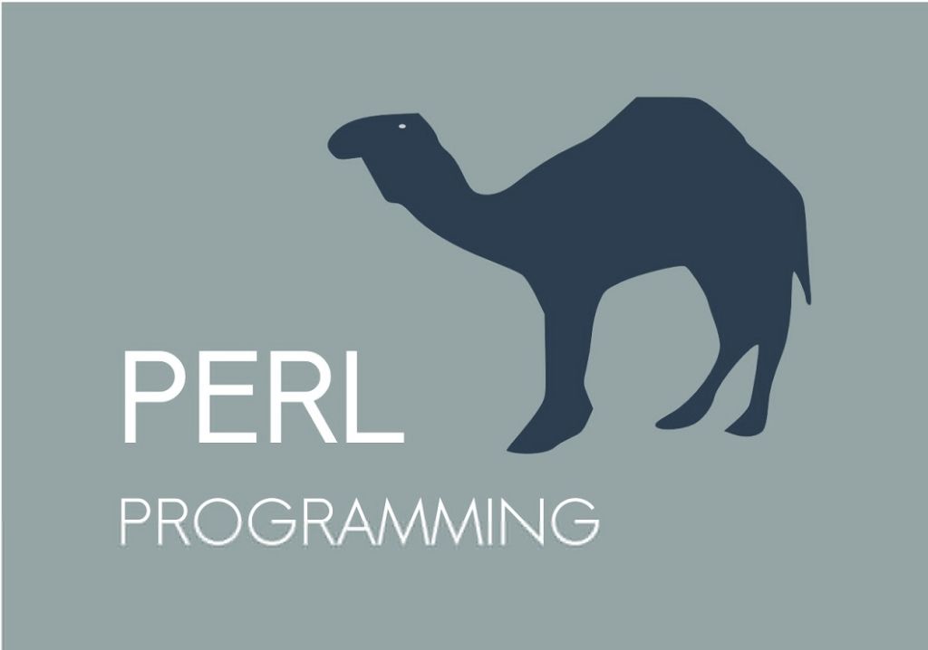 Perl fue creado en 1987.