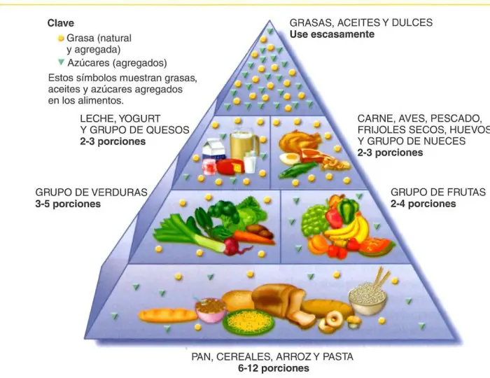 Función de las vitaminas en el cuerpo humano - Como Funciona Que