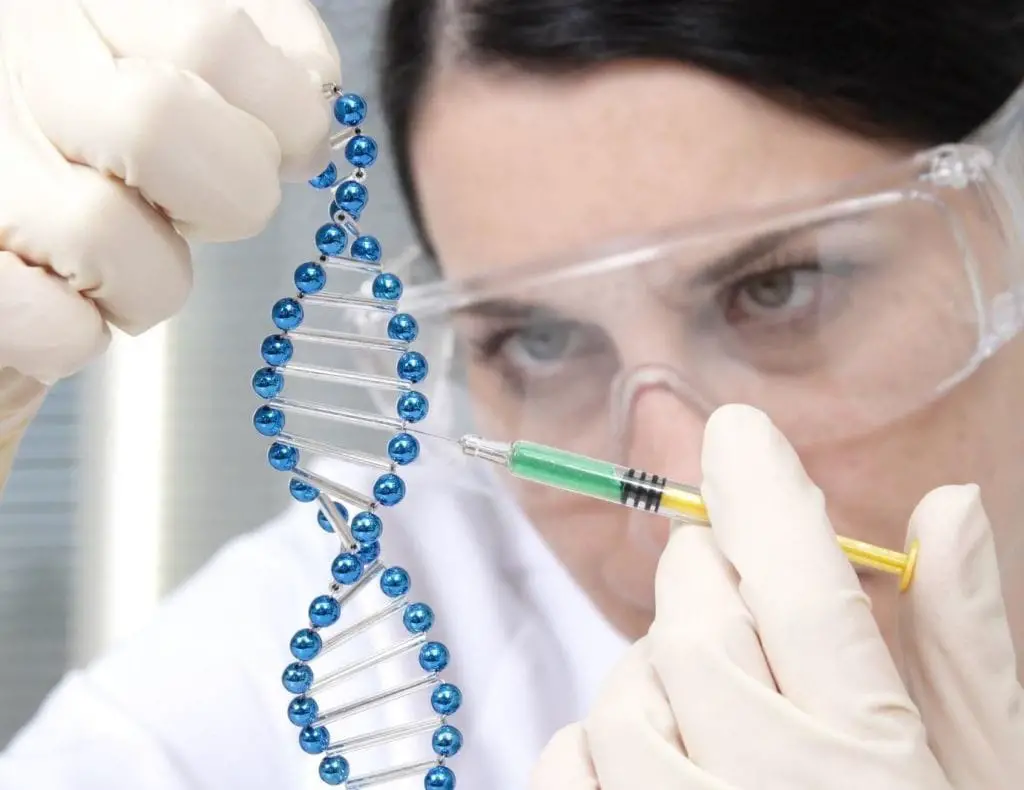 La genética es la ciencia especializada en el ADN y en sus moléculas