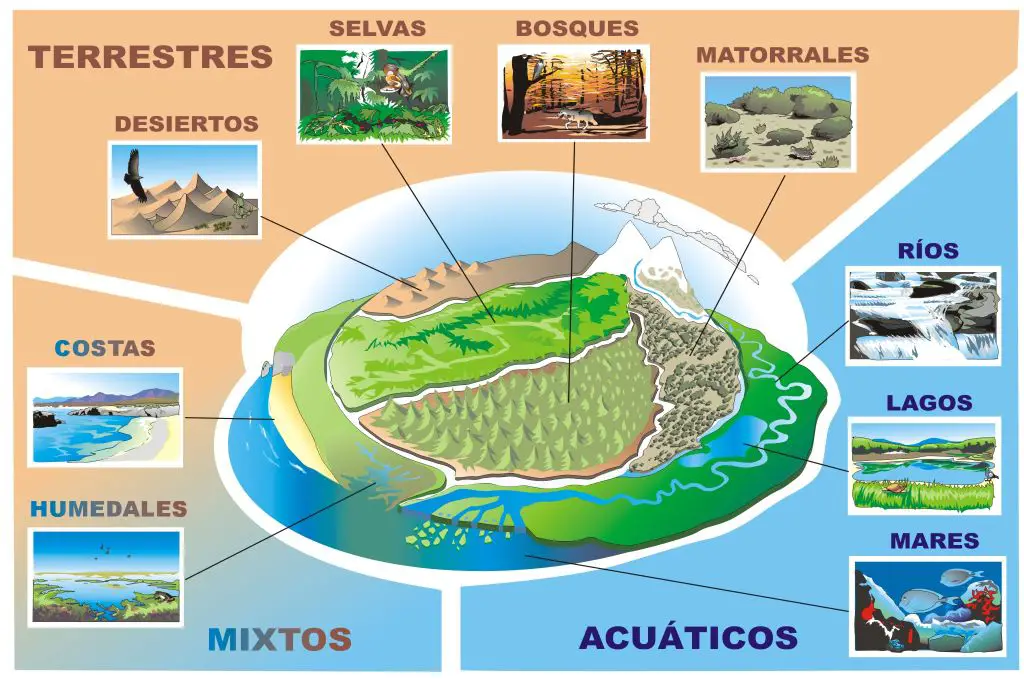 Resultado de imagen de Los diversos ecosistemas de nuestro planeta
