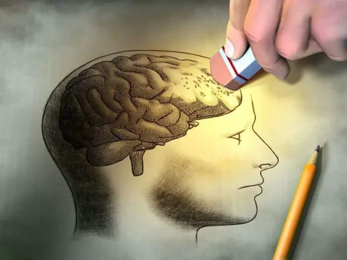 Un-problema-en-las-funciones-ejecutivas-implica-un-dano-o-deficit-en-el-lobulo-prefrontal-del-cerebro.jpg-1024x768 Un problema en las funciones ejecutivas implica un daño o déficit en el lóbulo prefrontal del cerebro