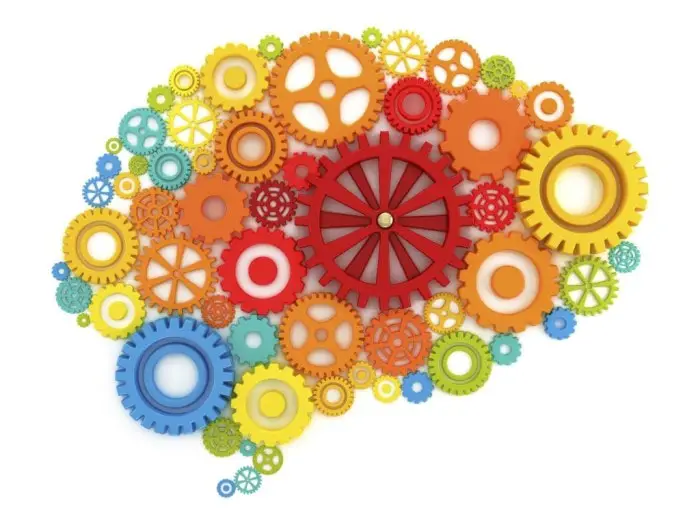 El conocimiento puede adquirirse a lo largo de toda la vida, logrando que nuestro cerebro funcione optimamente.jpg