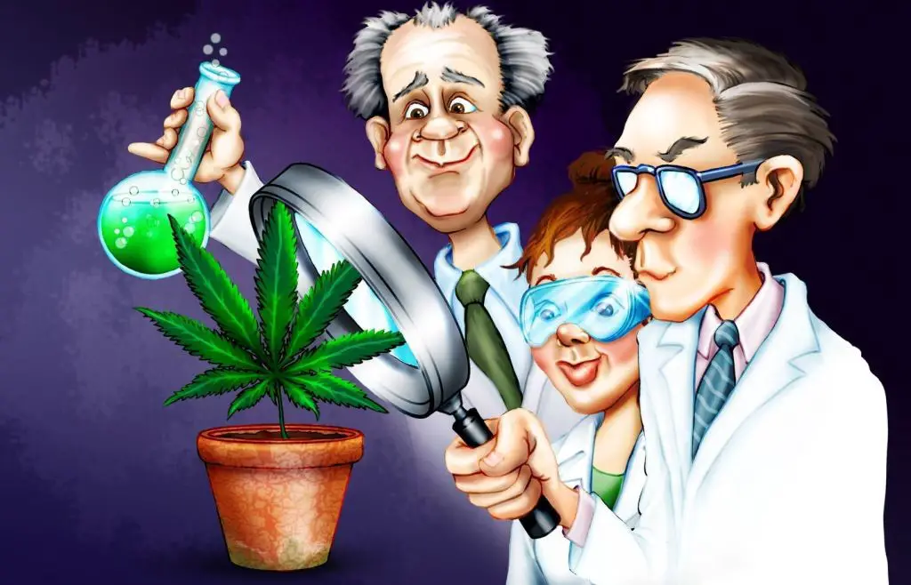A la investigacion sobre las substancias legales e ilegales aun le queda mucho camino por recorrer
