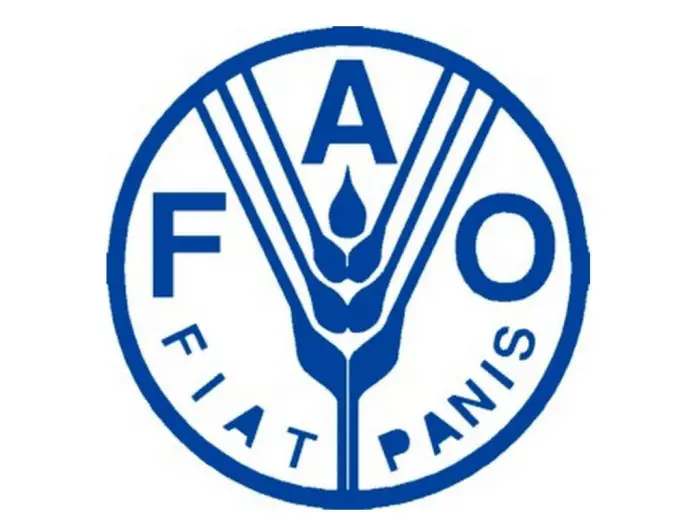Di Cosa Si Occupa La Fao