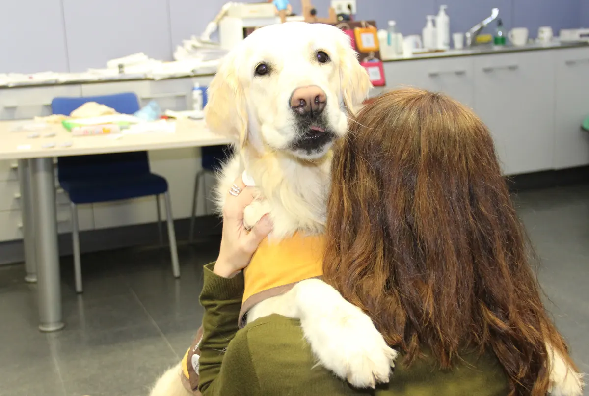 Purina y HCSC Madrid