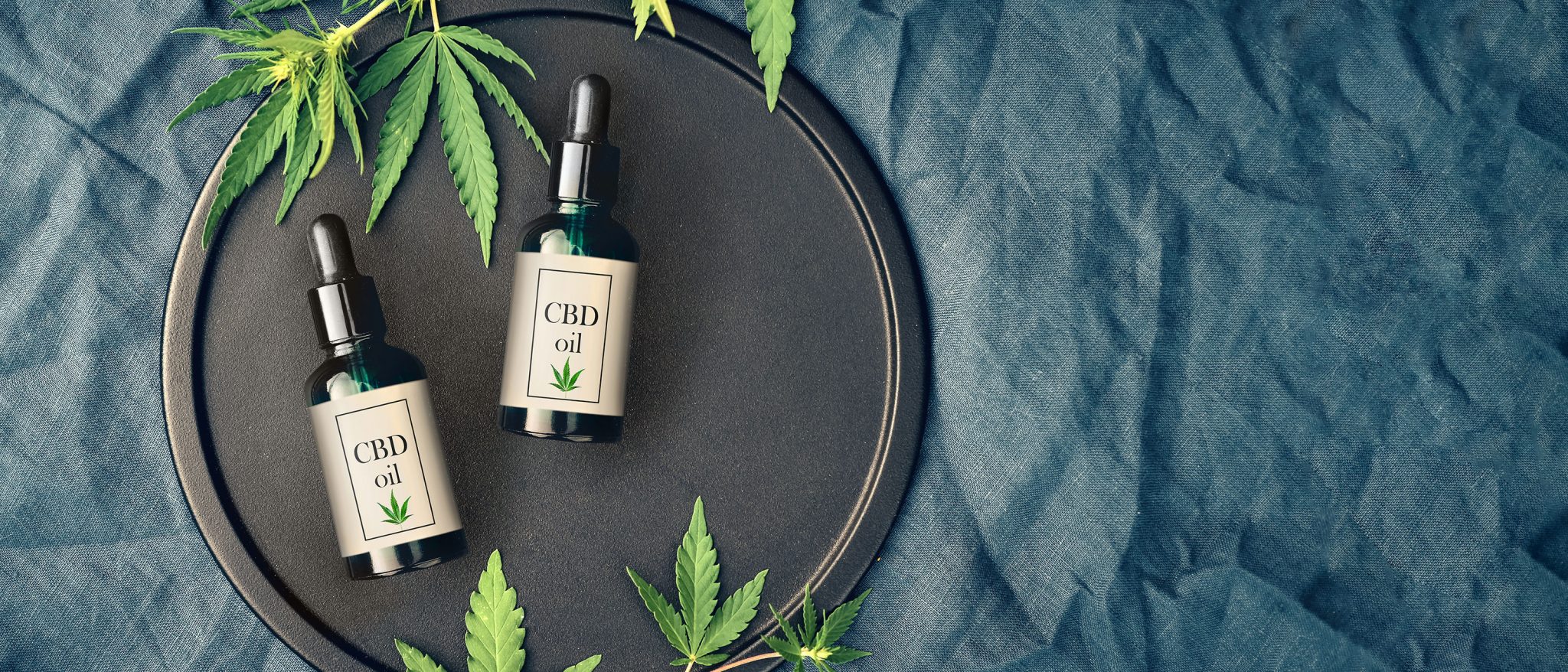 Cómo Se Elabora El Aceite De Cbd Como Funciona Que 0604