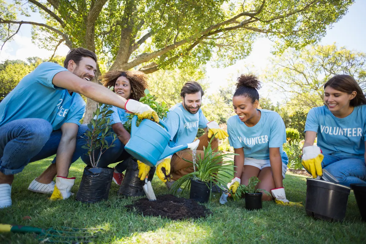 actividades de voluntariado