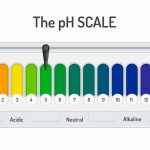 como-equilibrar-el-pH