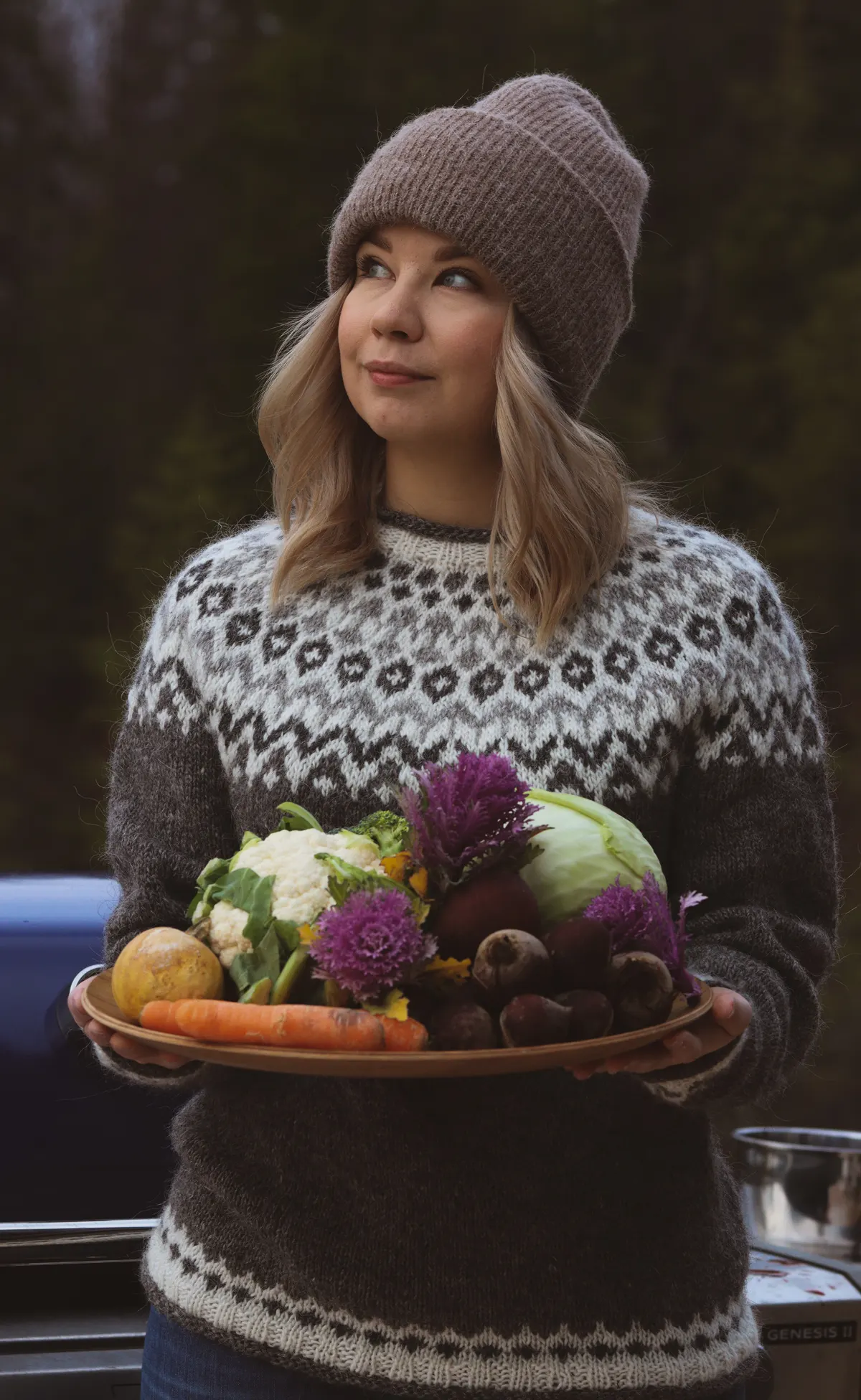 gastronomía Laponia