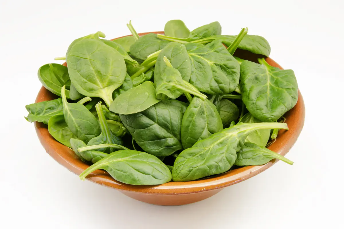 hojas-de-espinaca-verde-fresca