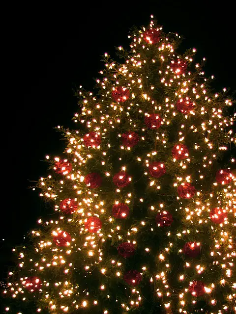 luces led árbol de navidad
