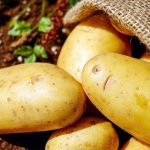 ¿Podrías sobrevivir a base de un solo alimento?