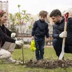 plantar árboles en las ciudades