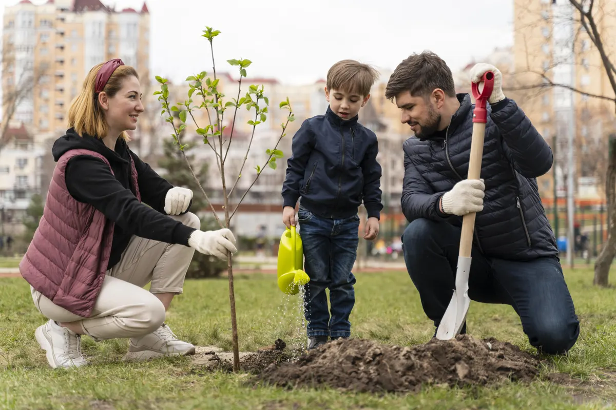plantar árboles en las ciudades