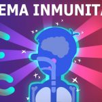 ¿Qué es el sistema inmune y cómo funciona?